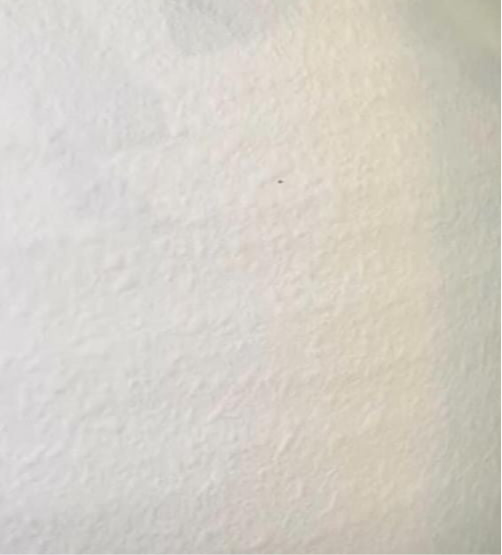 Shadow “Hand-Painted Pottery vase ”