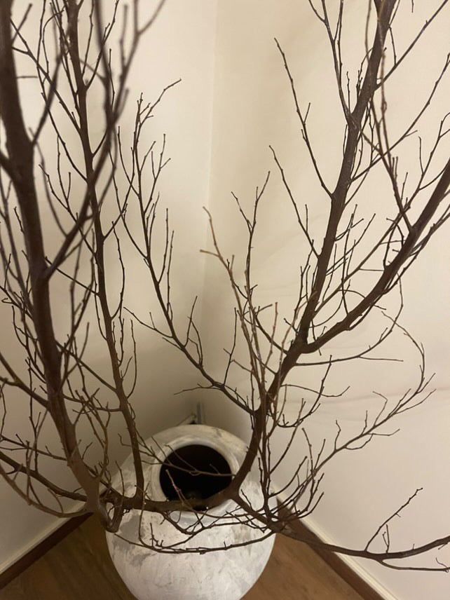 Dried natural branches