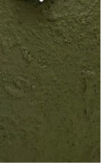 Verdant “Hand-Painted Pottery vase ”