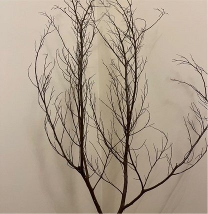Dried natural branches
