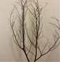 Dried natural branches