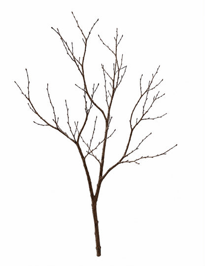Tree branches