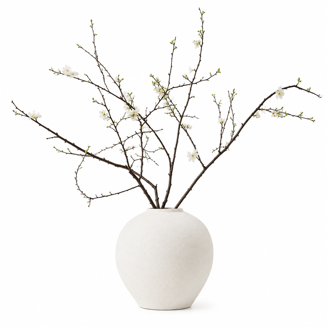 Alba vase “Hand-Painted Pottery vase”