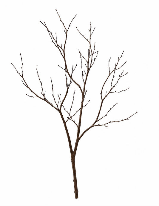 Tree branches