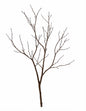 Tree branches