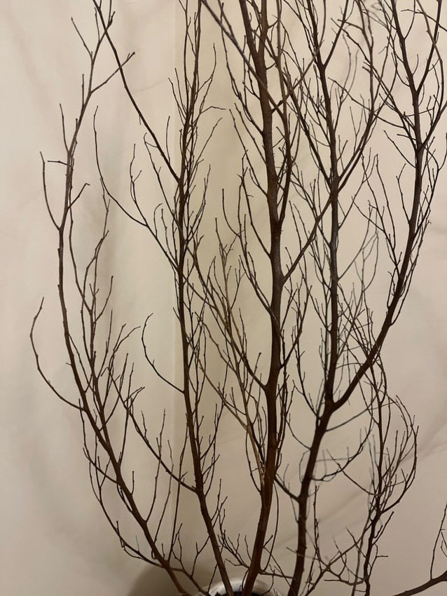 Dried natural branches