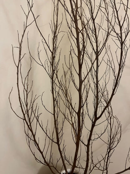 Dried natural branches