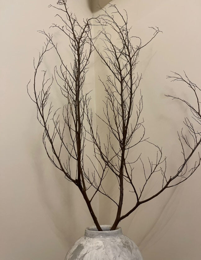 Dried natural branches