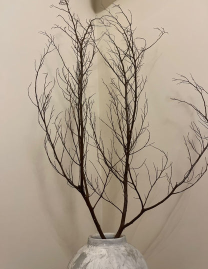 Dried natural branches
